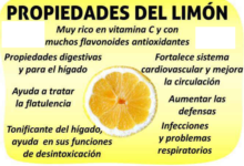 Propiedades curativas del limón